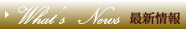 最新情報